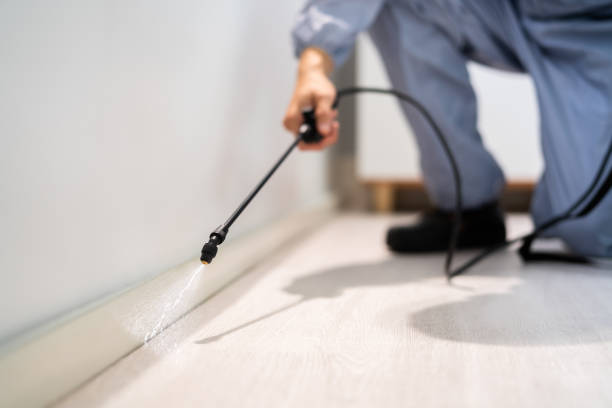 Licensed Pest Control service in Whiteman AFB, MO - Show Me Pest Control