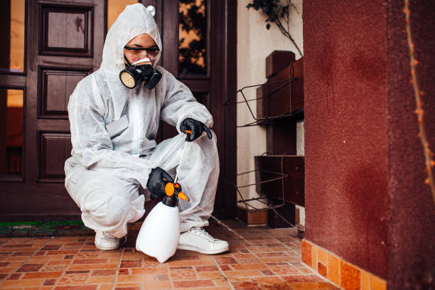 Multi-Unit and Airbnb Bed Bug Protocol in Whiteman AFB