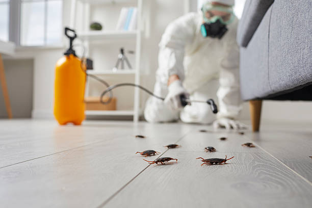 Post-Treatment Bed Bug Interceptor Monitoring in Whiteman AFB