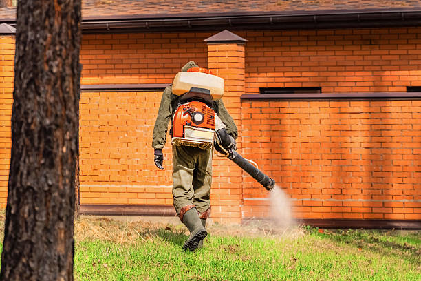 Bed Bug Clearance Verification and Documentation in Whiteman AFB
